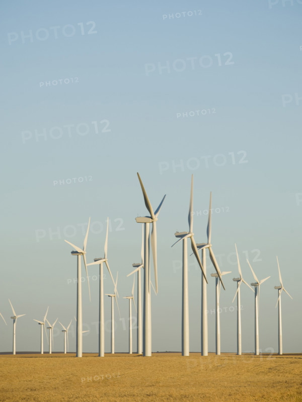 Rows of windmills on wind farm. Date : 2008