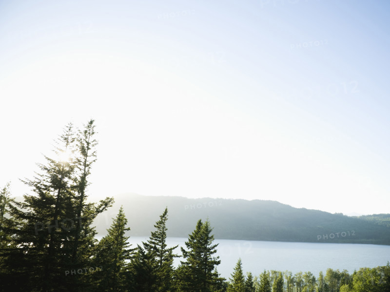 Scenic view of river. Date : 2008