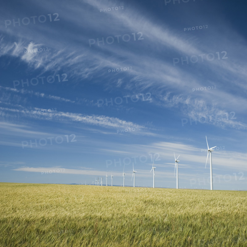 Windmills in a row on wind farm. Date : 2008