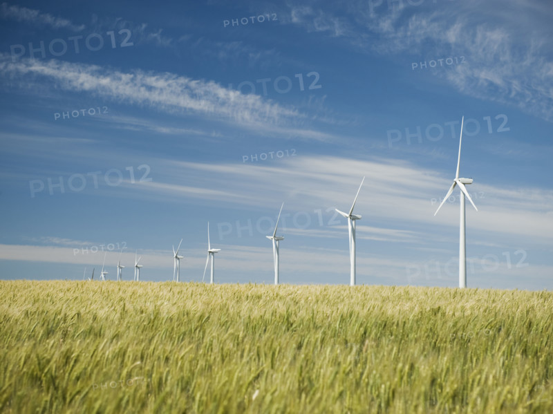 Windmills in a row on wind farm. Date : 2008