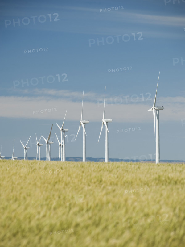 Windmills in a row on wind farm. Date : 2008