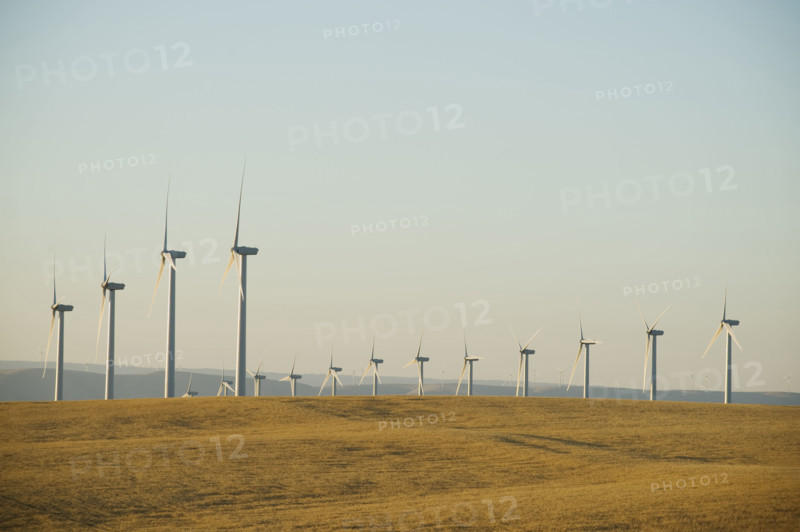 Rows of windmills on wind farm. Date : 2008