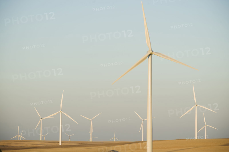 Rows of windmills on wind farm. Date : 2008
