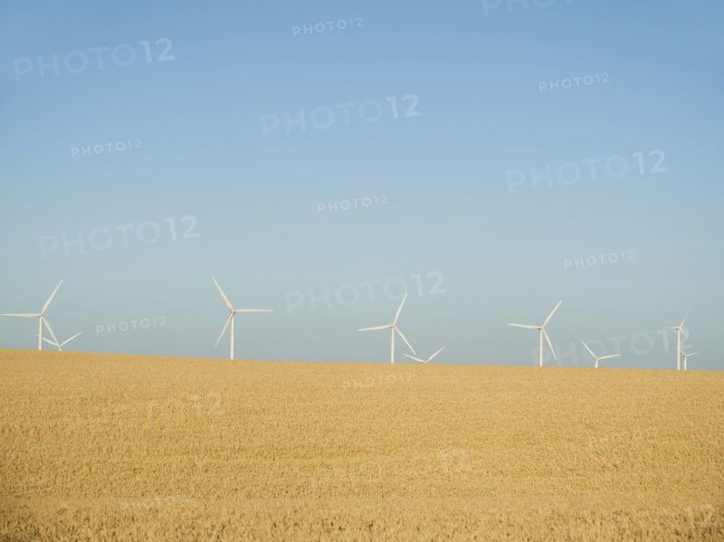 Row on windmills on wind farm. Date : 2008