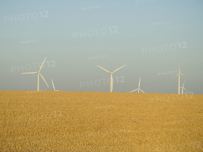 Row of windmills on wind farm. Date : 2008