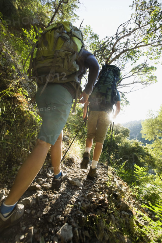 Hikers on forest trail. Date : 2008