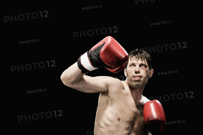 Boxer in fighting stance. Date: 2008