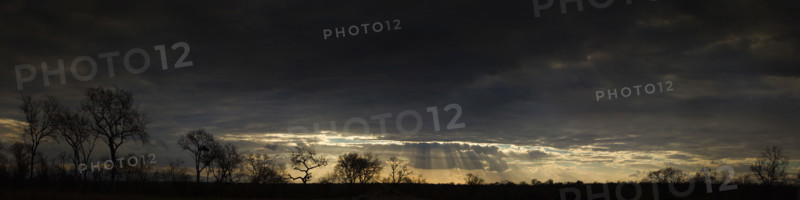 Sunbeams shining from clouds over African landscape. Date: 2008