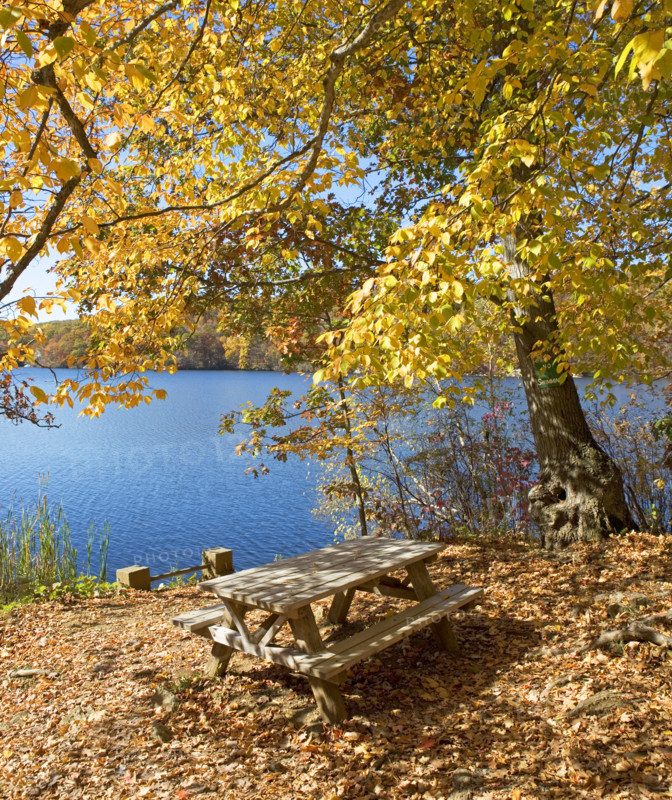 Picnic bench in autumn leaves at edge of lake. Date: 2008