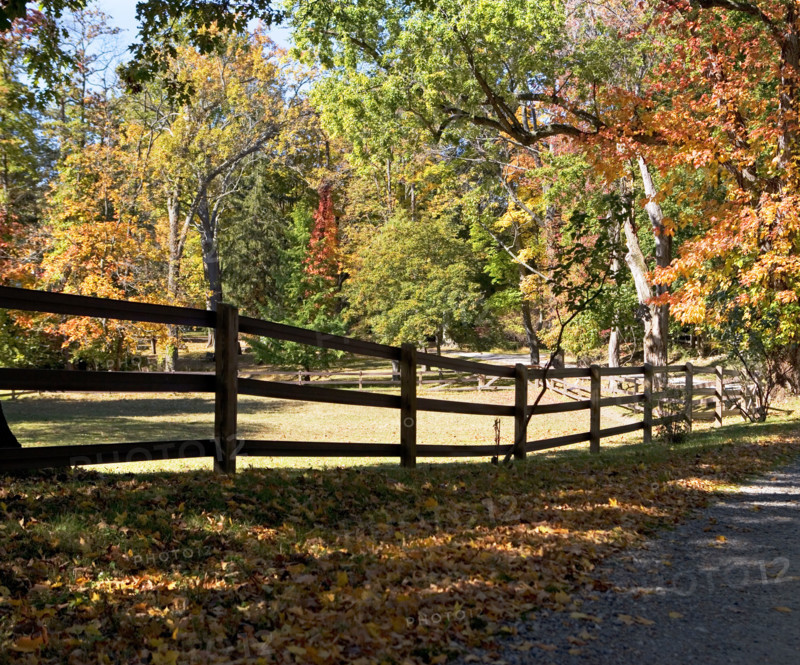 Autumn leaves in countryside. Date: 2008