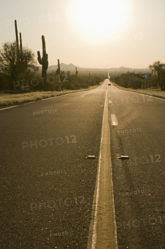 Sun shining over desert road, Flagstaff, Arizona.