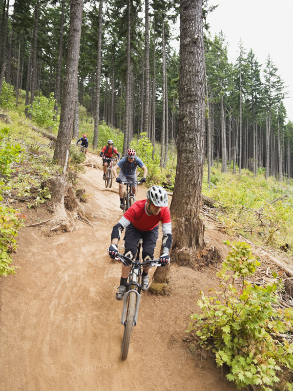 Mountain bikers riding on forest trail. Date: 2008