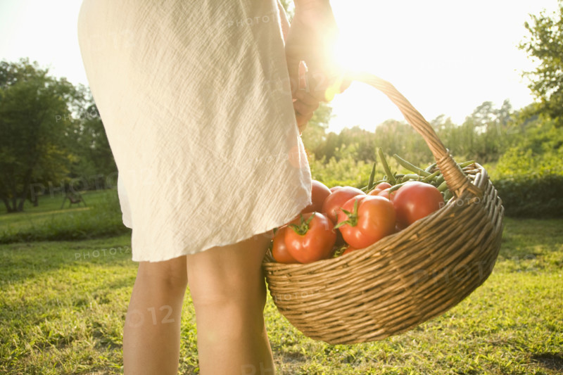 Woman holding basket of fresh tomatoes. Date: 2008