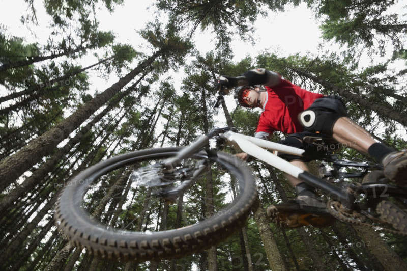 Mountain biker in mid-air in forest. Date: 2008