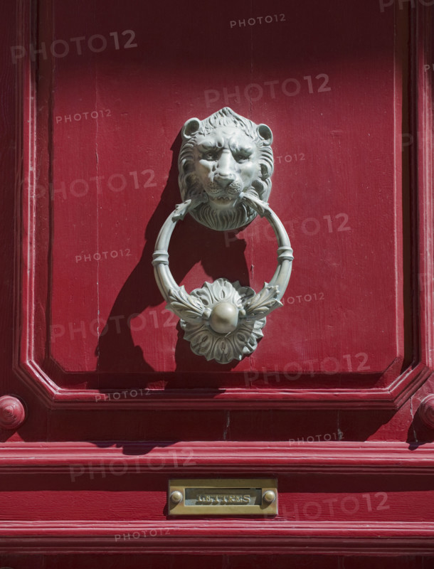 Decorative door knocker.