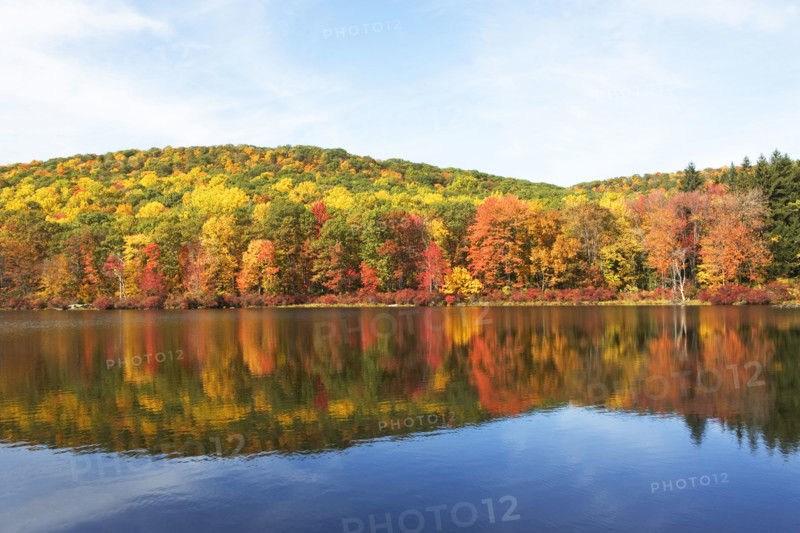 Autumn foliage, Bear Mountain, New York. Date : 2008