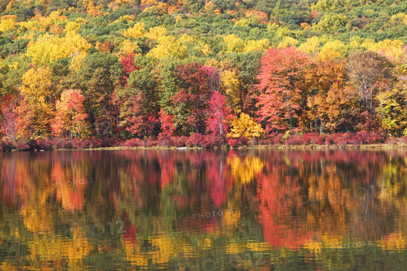 Autumn foliage, Bear Mountain, New York. Date : 2008