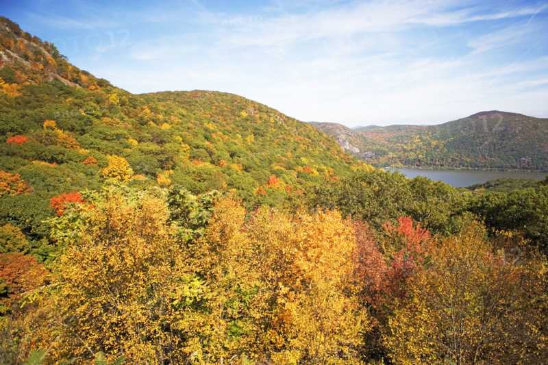 Autumn foliage, Bear Mountain, New York. Date: 2008