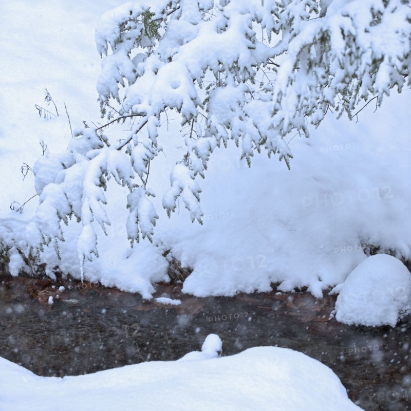 Snowy stream in winter.