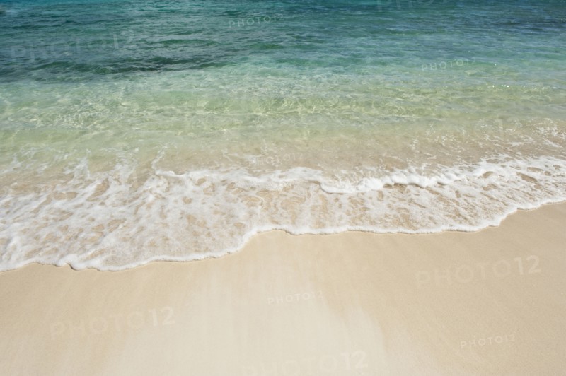 Beach and clear ocean water.