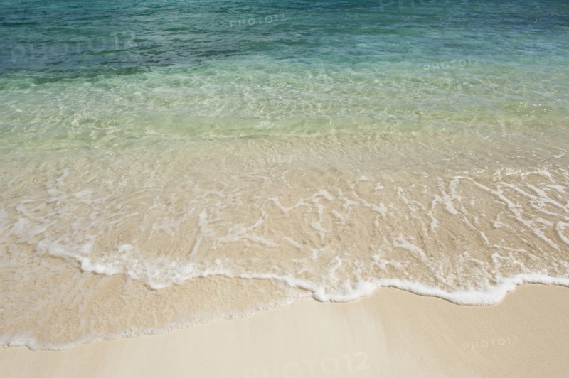 Beach and clear ocean water.