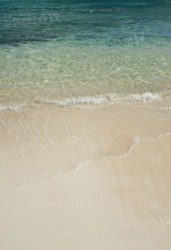 Beach and clear ocean water.