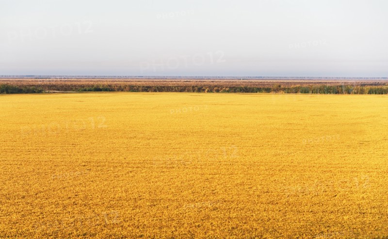 Rural landscape. Photographe : fotog
