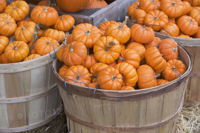 Baskets of pumpkins. Photographe : fotog
