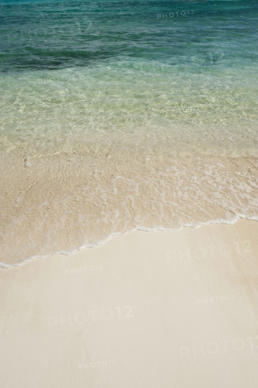 Beach and clear ocean water.