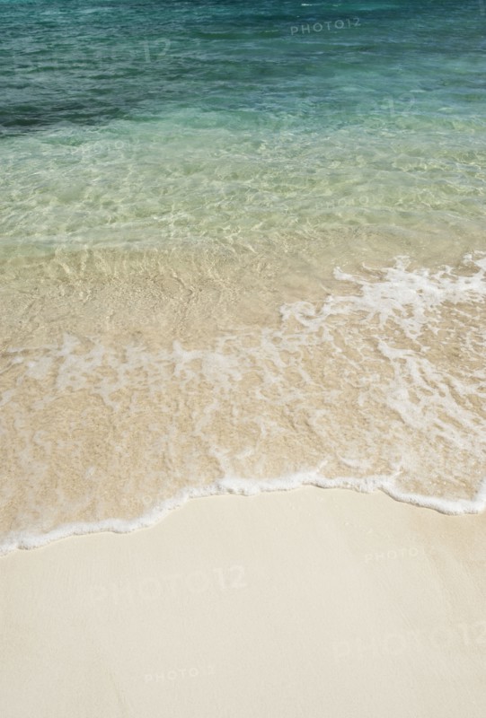 Beach and clear ocean water.
