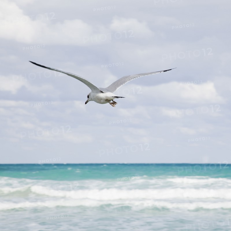 Tropical seascape. Photographe : Jamie Grill