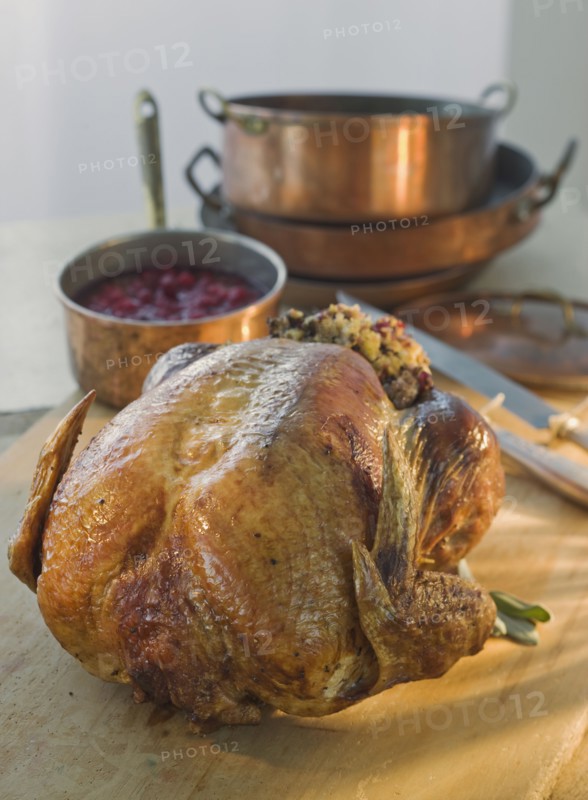 Thanksgiving turkey on cutting board.