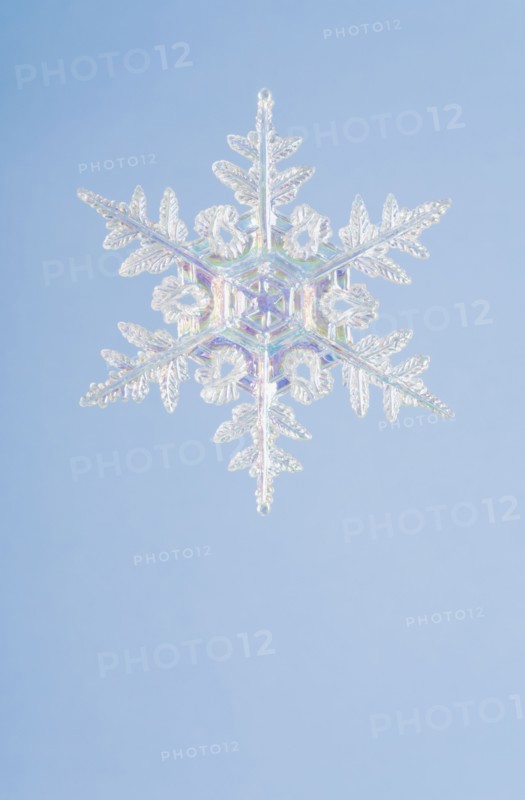 Snowflake decoration. Photographe : Kristin Lee