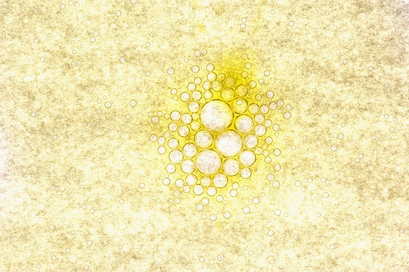 Olive oil bubbles. Photographe : Joe Clark