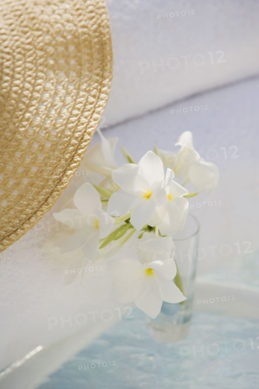 Tropical flowers in . Photographe : mark edward atkinson