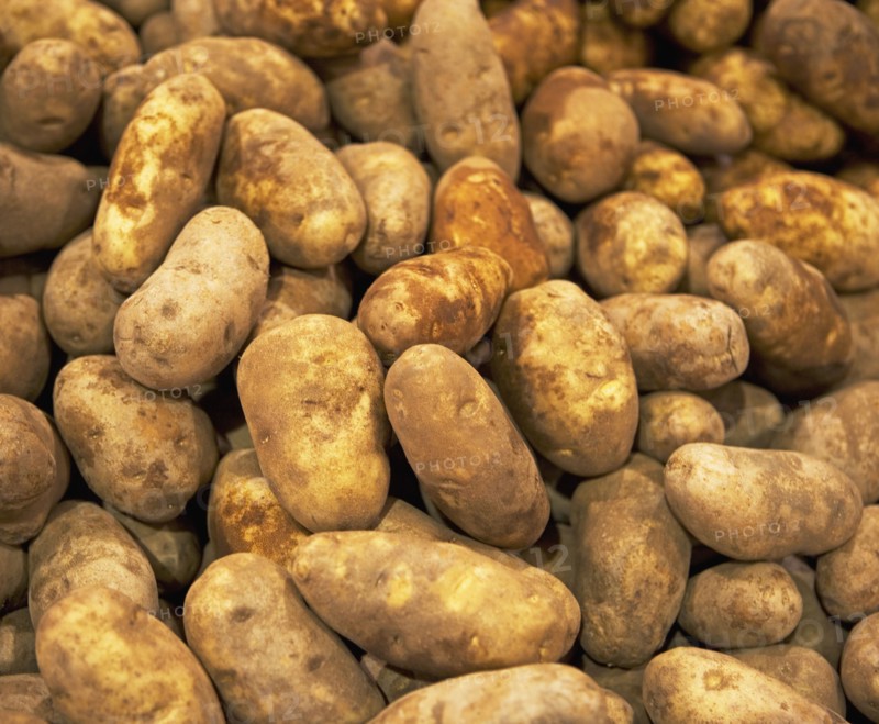 Idaho potatoes at a fruit stand. Photographe : fotog