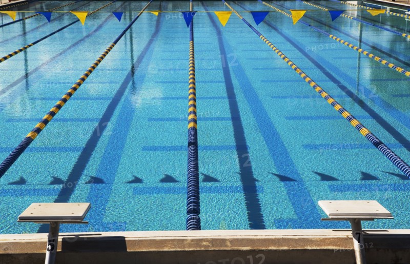 Swimming pool. Photographe : fotog