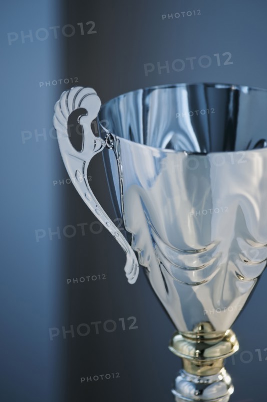 Silver trophy.
