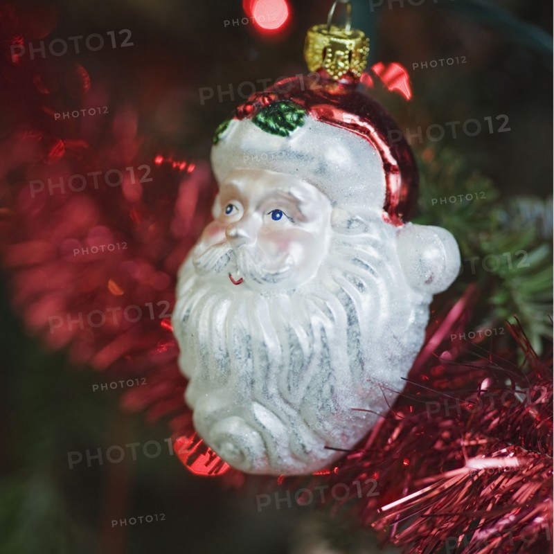 Ornament hanging on Christmas tree.