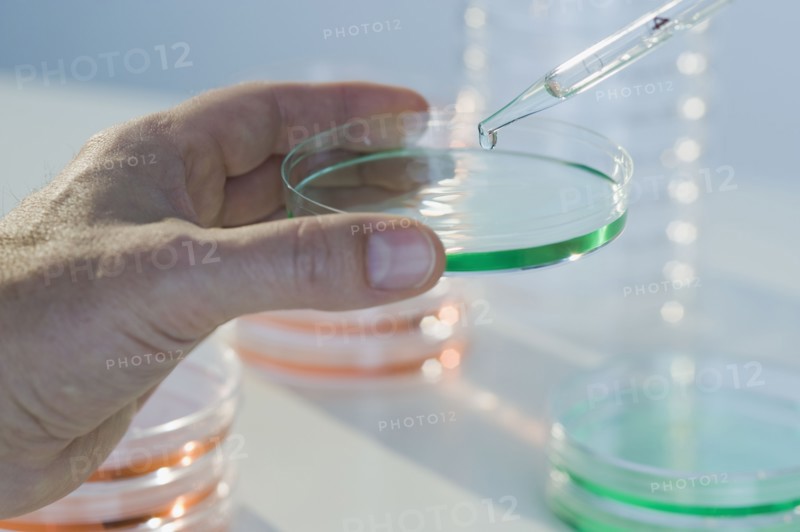 Scientist holding petri dish.