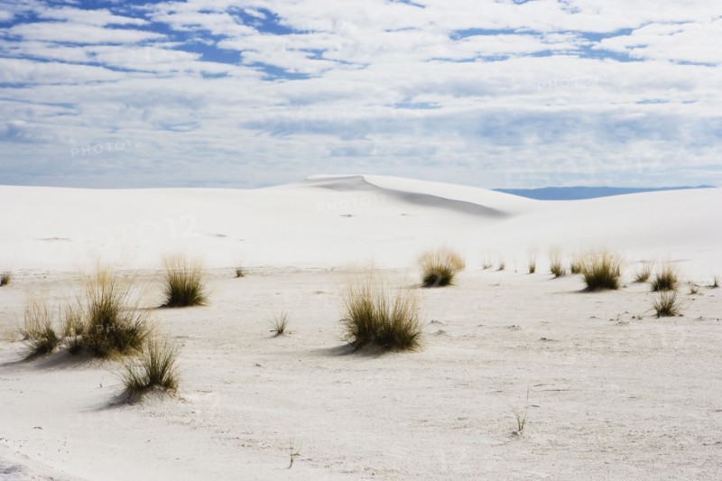 Dunes de sable blanc