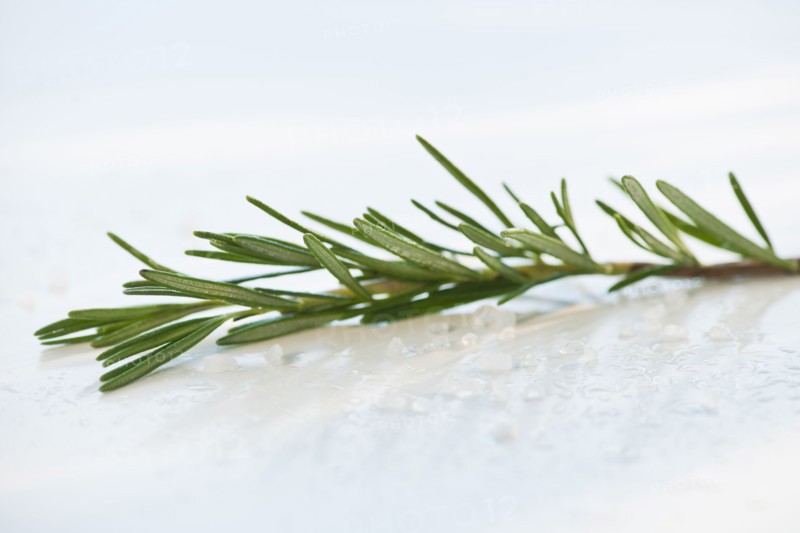 Twig of rosemary.