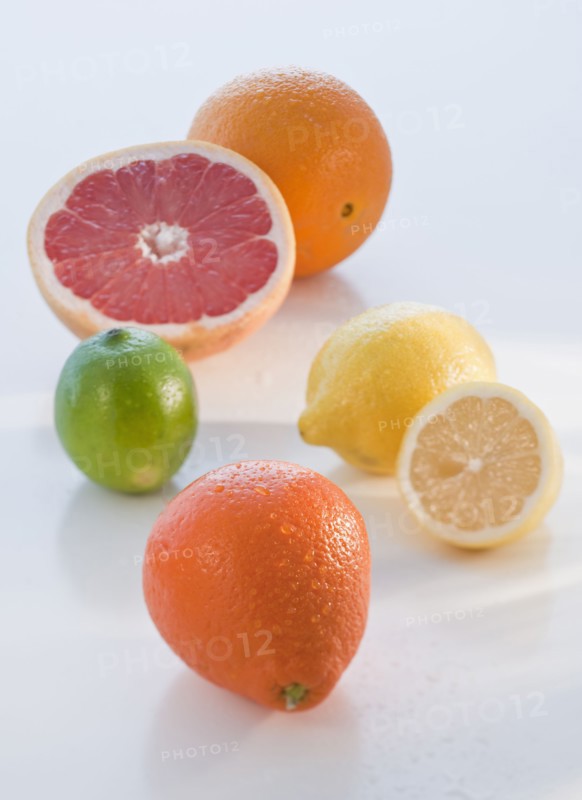 Lemons, lime, grapefruit and orange.