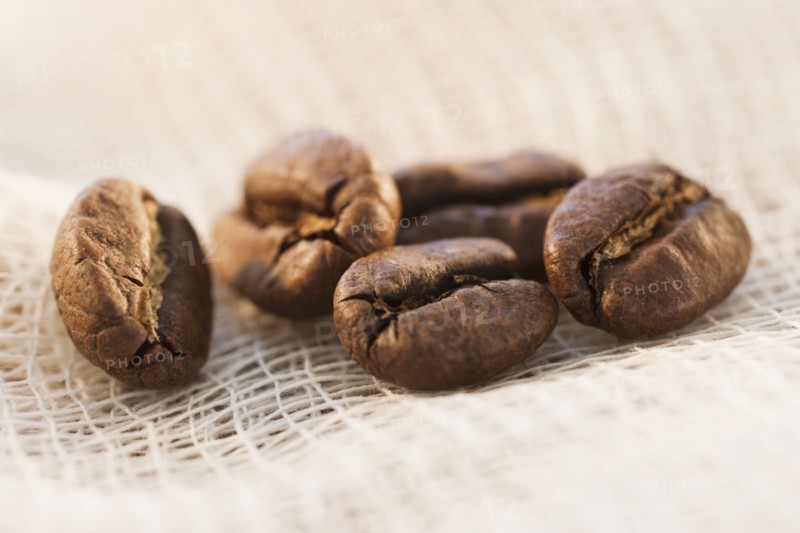 Roast coffee beans on fabric, studio shot.