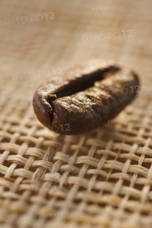 Roast coffee bean on fabric, studio shot.