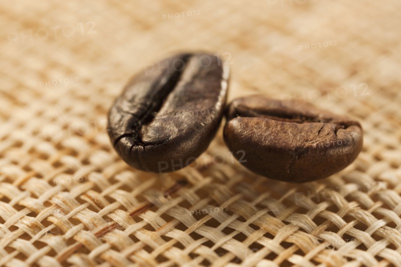 Two roast coffee beans on fabric, studio shot.