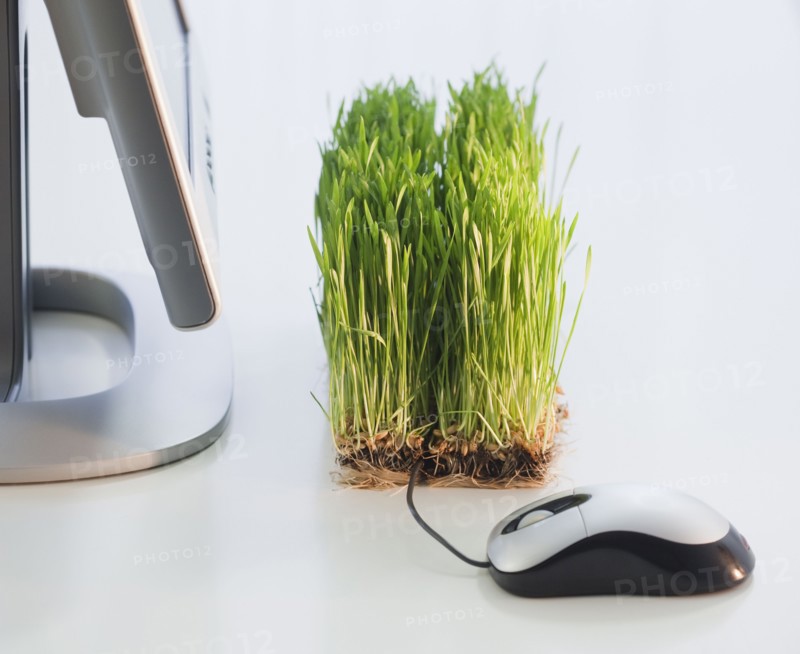 Grass growing beside computer. Photographe : Jamie Grill