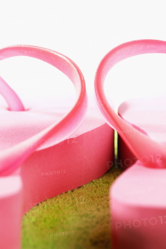 Pair of pink Flip-Flops, close-up. Photographe : Joe Clark