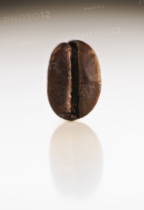 Coffee bean.