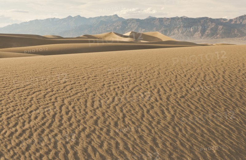 Sand dunes in the desert.